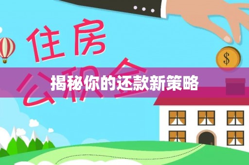 石峰揭秘你的还款新策略