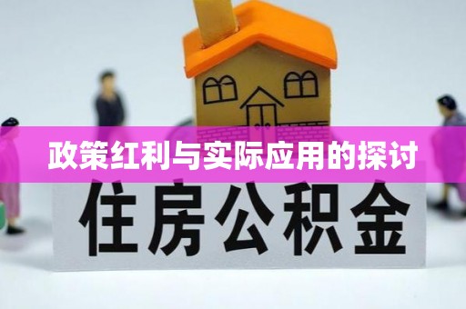 石峰政策红利与实际应用的探讨