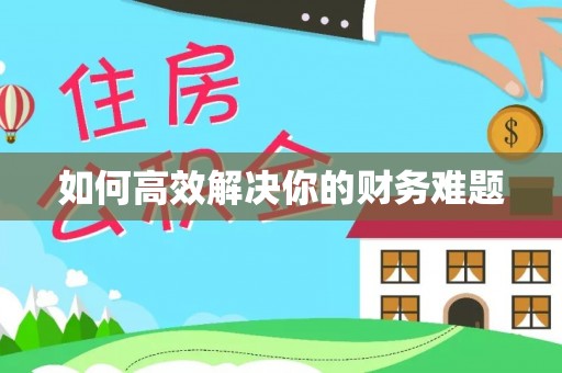 石峰如何高效解决你的财务难题