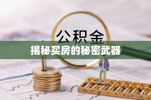 石峰揭秘买房的秘密武器