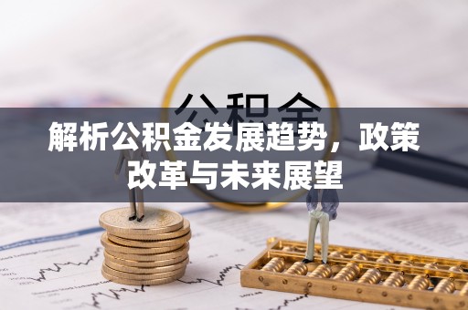 石峰解析公积金发展趋势，政策改革与未来展望