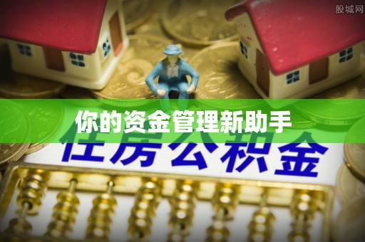 石峰你的资金管理新助手