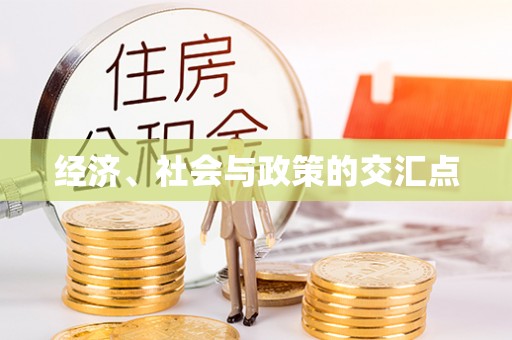 石峰经济、社会与政策的交汇点