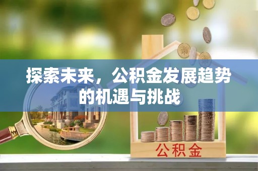 石峰探索未来，公积金发展趋势的机遇与挑战