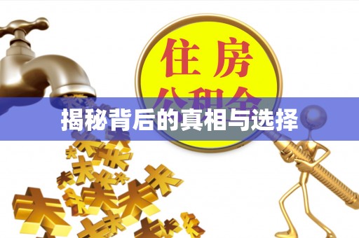 石峰揭秘背后的真相与选择